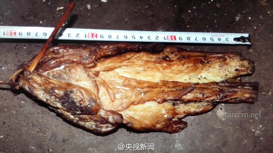我剥了张“恐龙皮”，烹制了一场思维创新的满汉全席👀🍴